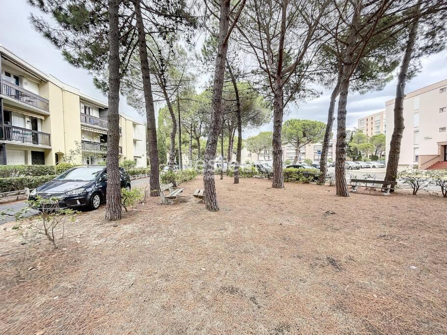 2980-Appartement 1 Ch A 100M De La Mer Argelès-sur-Mer Extérieur photo